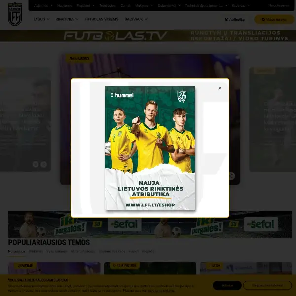 Lietuvos Futbolo Federacija (LFF)